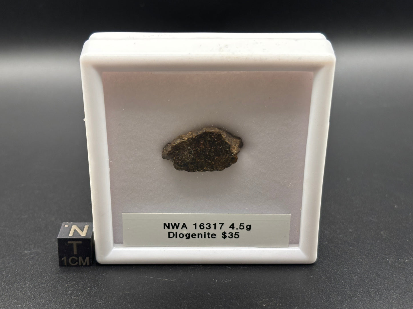 NWA 16317 Diogenite Meteorite Specimen Official HED Achondrite Northwest Africa Meteorite