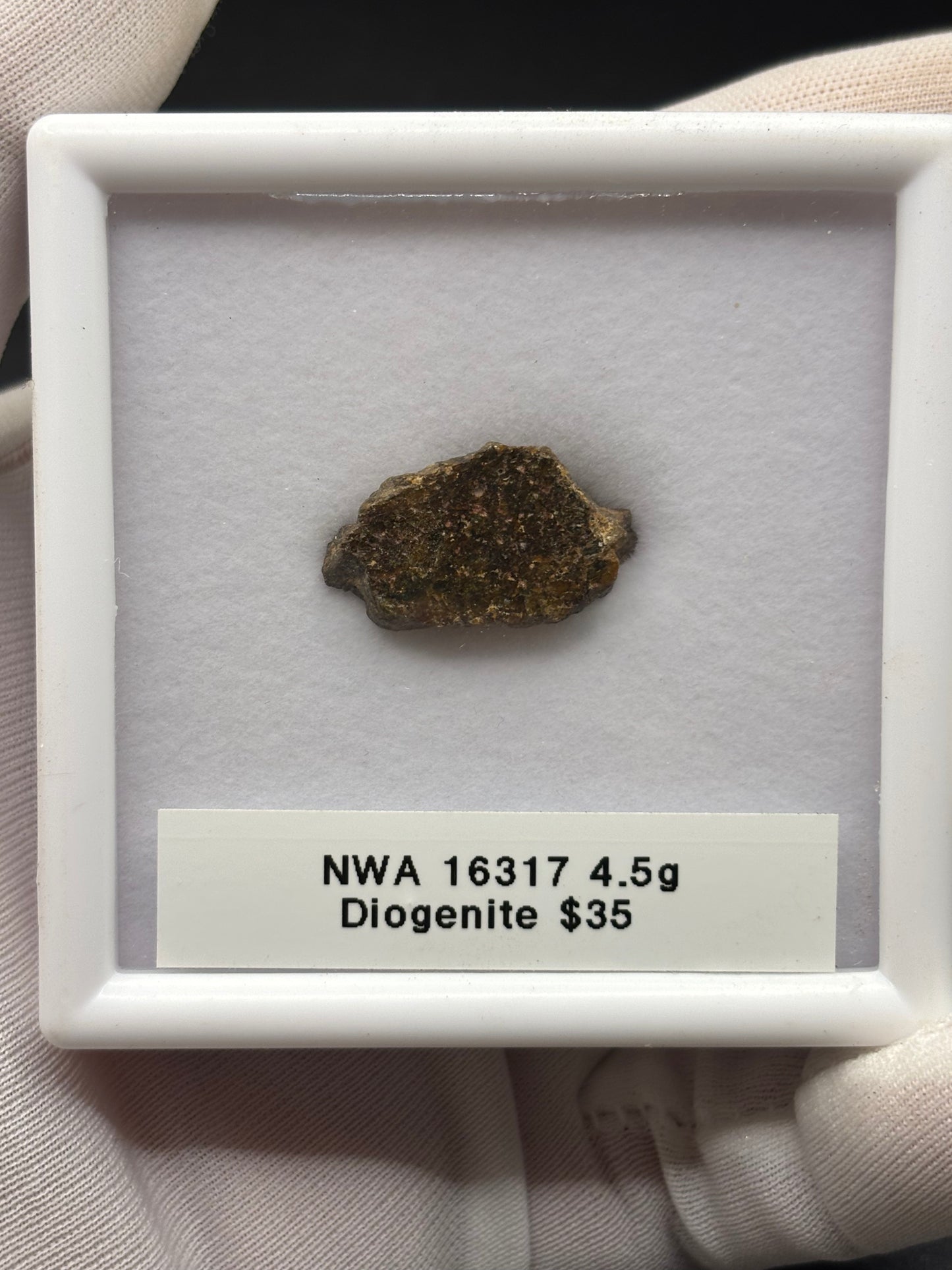 NWA 16317 Diogenite Meteorite Specimen Official HED Achondrite Northwest Africa Meteorite