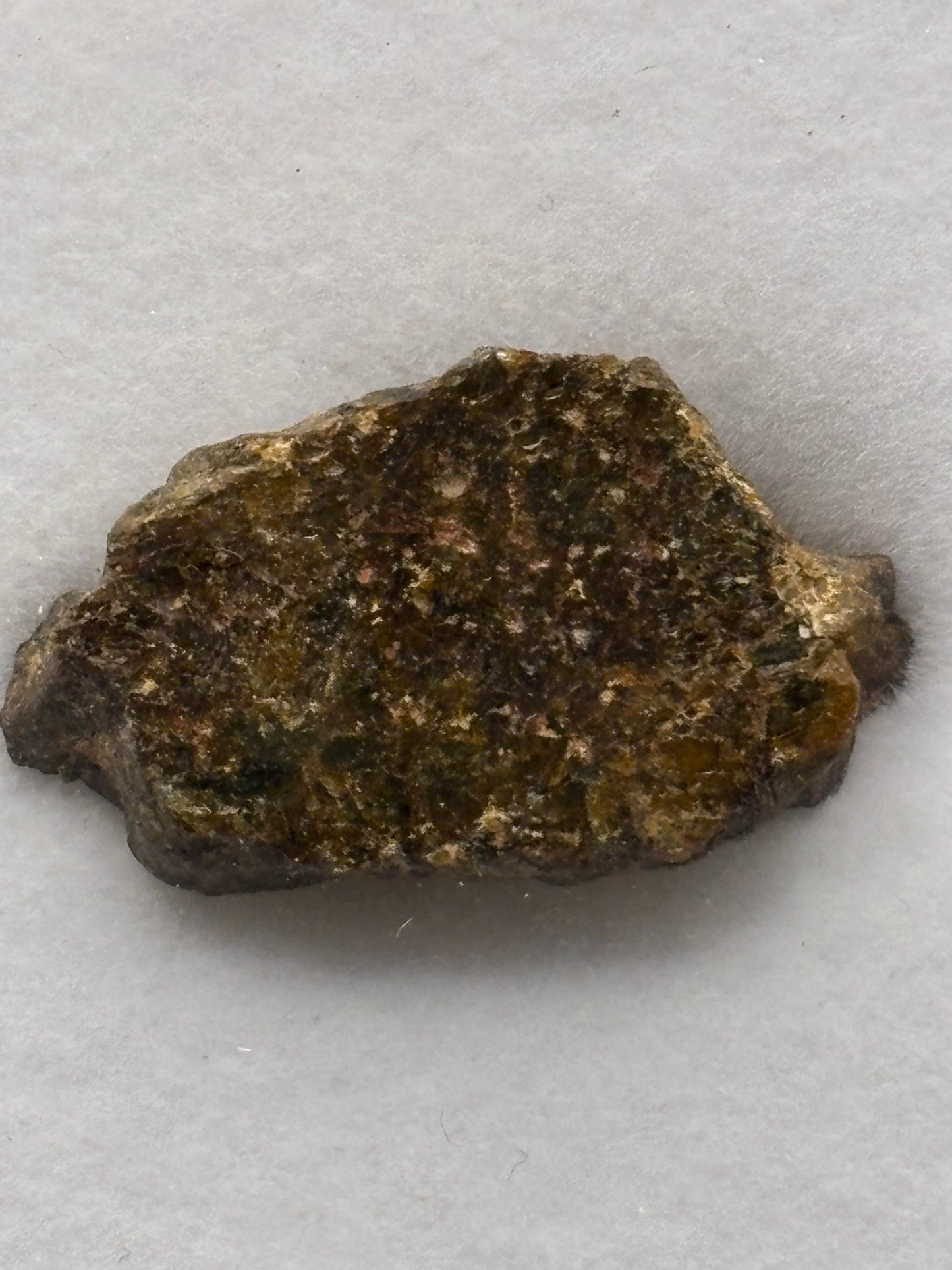 NWA 16317 Diogenite Meteorite Specimen Official HED Achondrite Northwest Africa Meteorite
