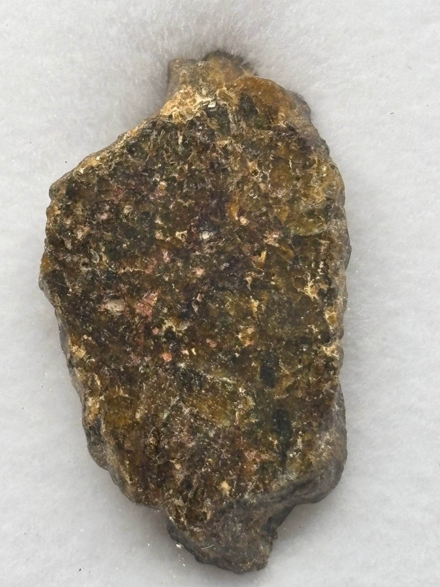 NWA 16317 Diogenite Meteorite Specimen Official HED Achondrite Northwest Africa Meteorite