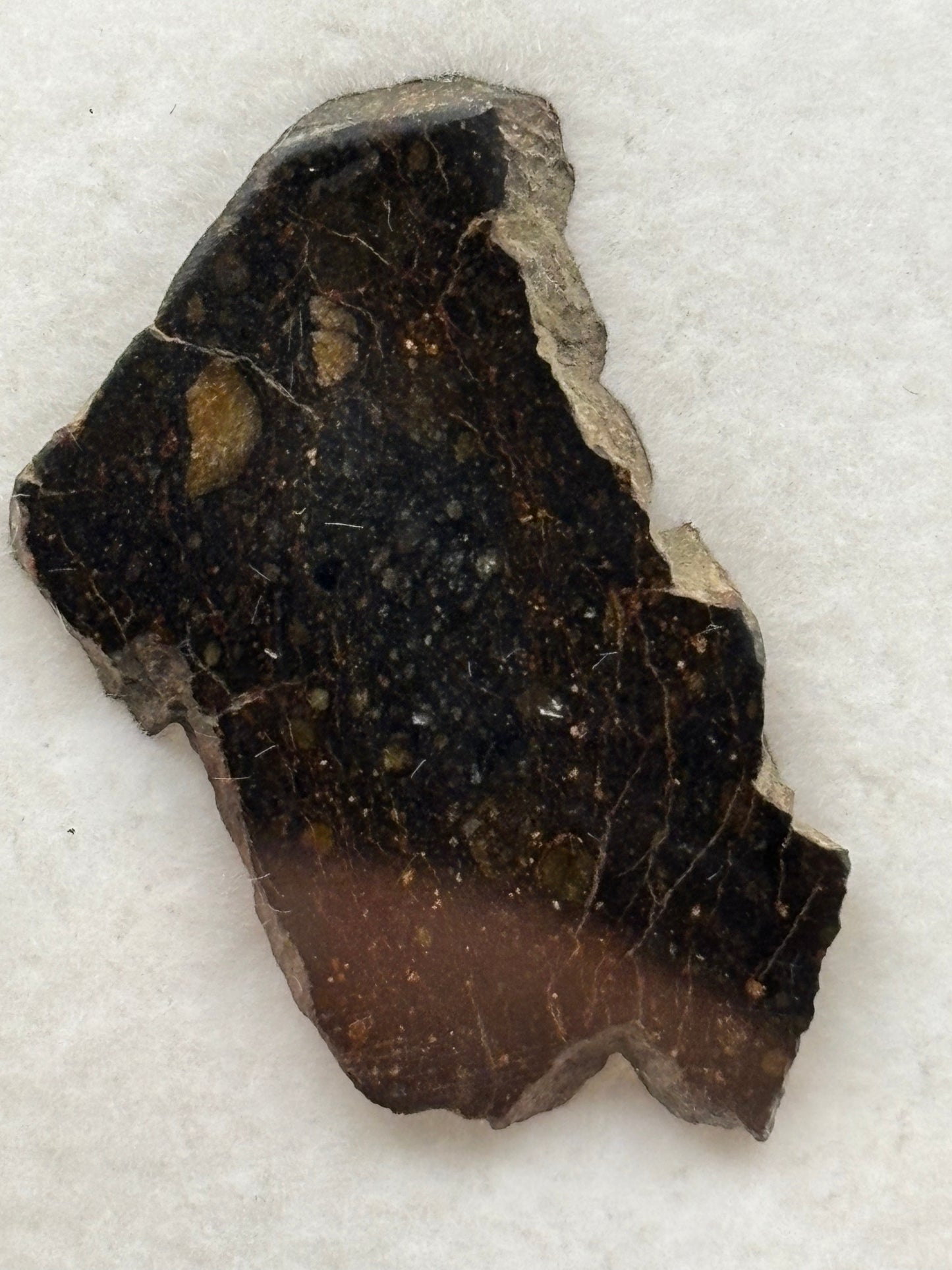 NWA 13758 Meteorite Specimen Official R3 Rumuruti Chondrite Northwest Africa Meteorite