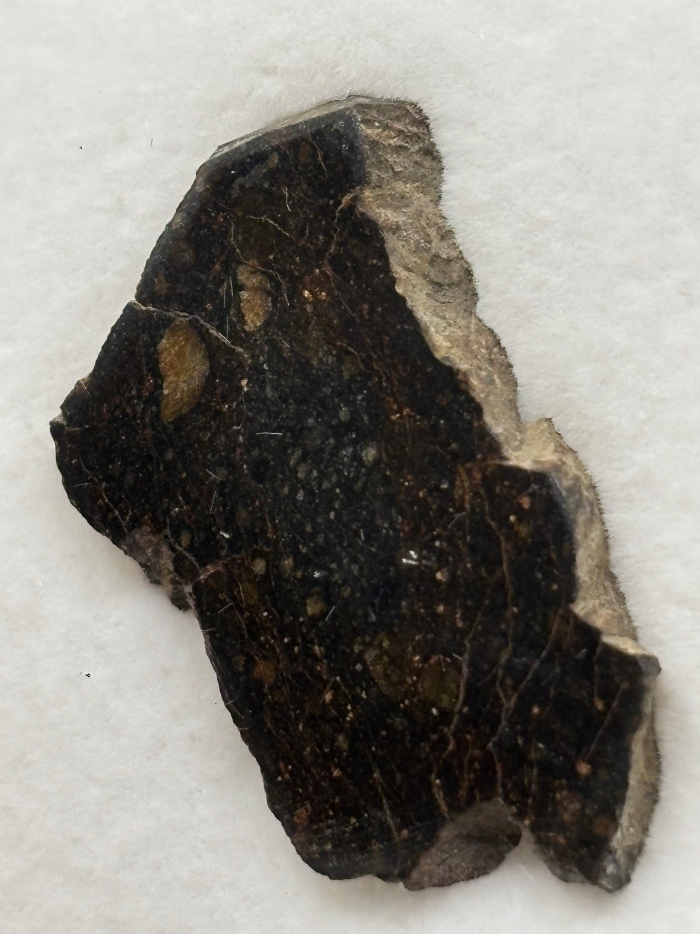 NWA 13758 Meteorite Specimen Official R3 Rumuruti Chondrite Northwest Africa Meteorite