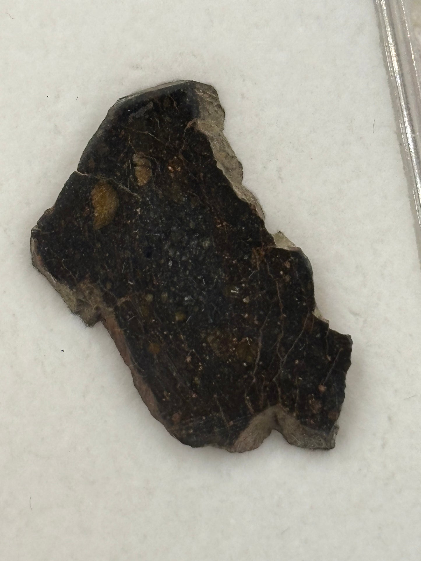 NWA 13758 Meteorite Specimen Official R3 Rumuruti Chondrite Northwest Africa Meteorite