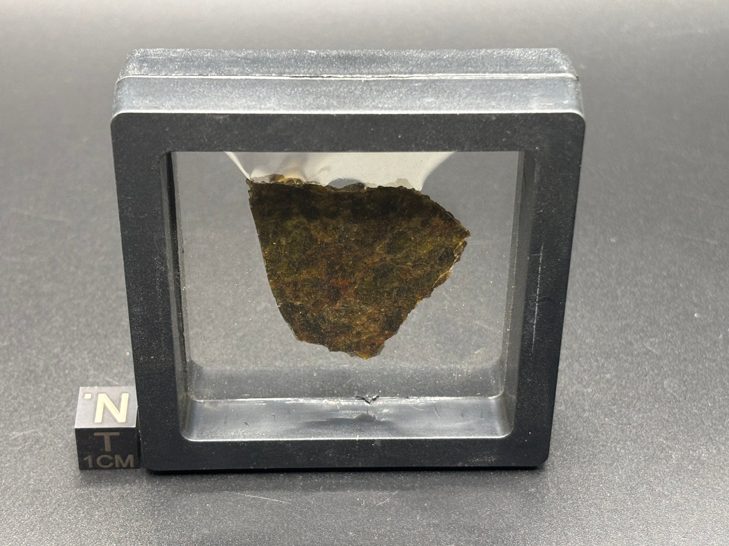 NWA 7831 Diogenite Meteorite Specimen Official HED Achondrite Northwest Africa Meteorite