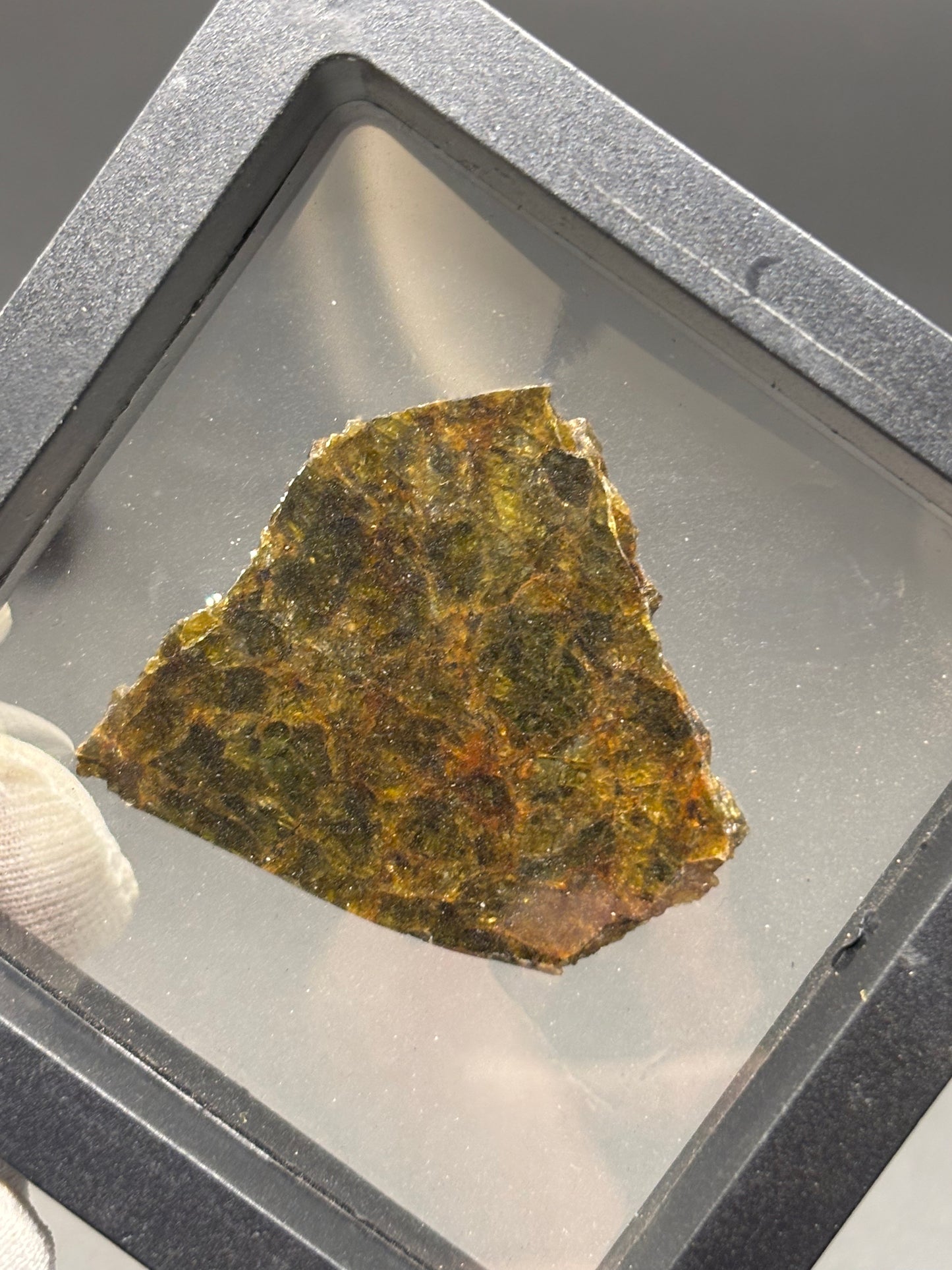 NWA 7831 Diogenite Meteorite Specimen Official HED Achondrite Northwest Africa Meteorite