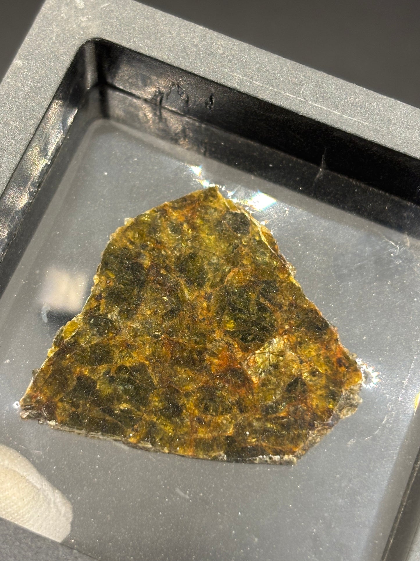 NWA 7831 Diogenite Meteorite Specimen Official HED Achondrite Northwest Africa Meteorite