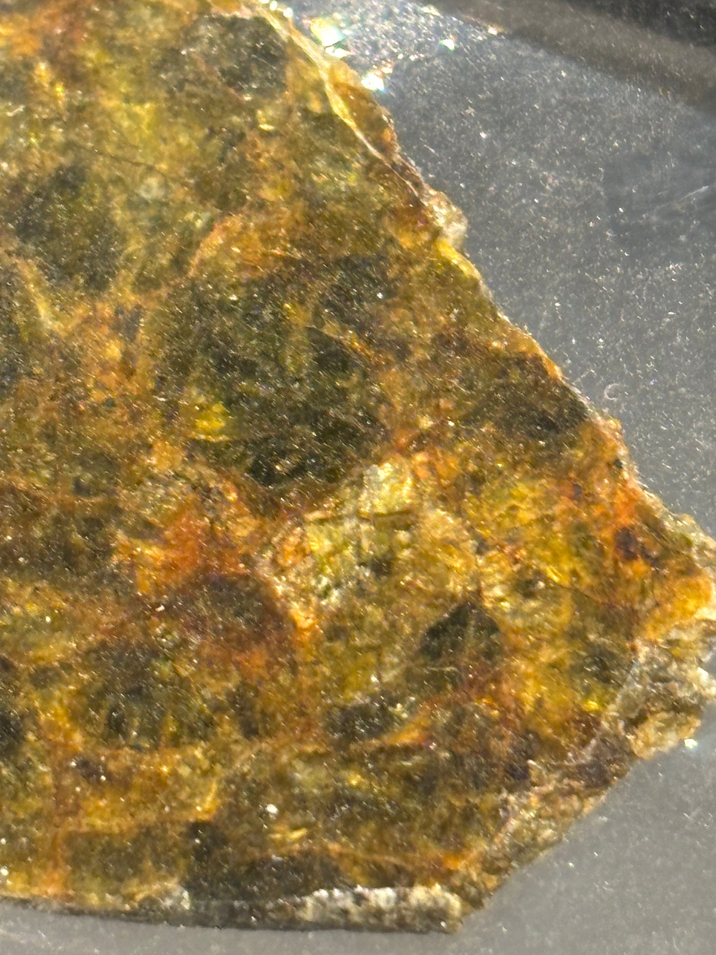 NWA 7831 Diogenite Meteorite Specimen Official HED Achondrite Northwest Africa Meteorite