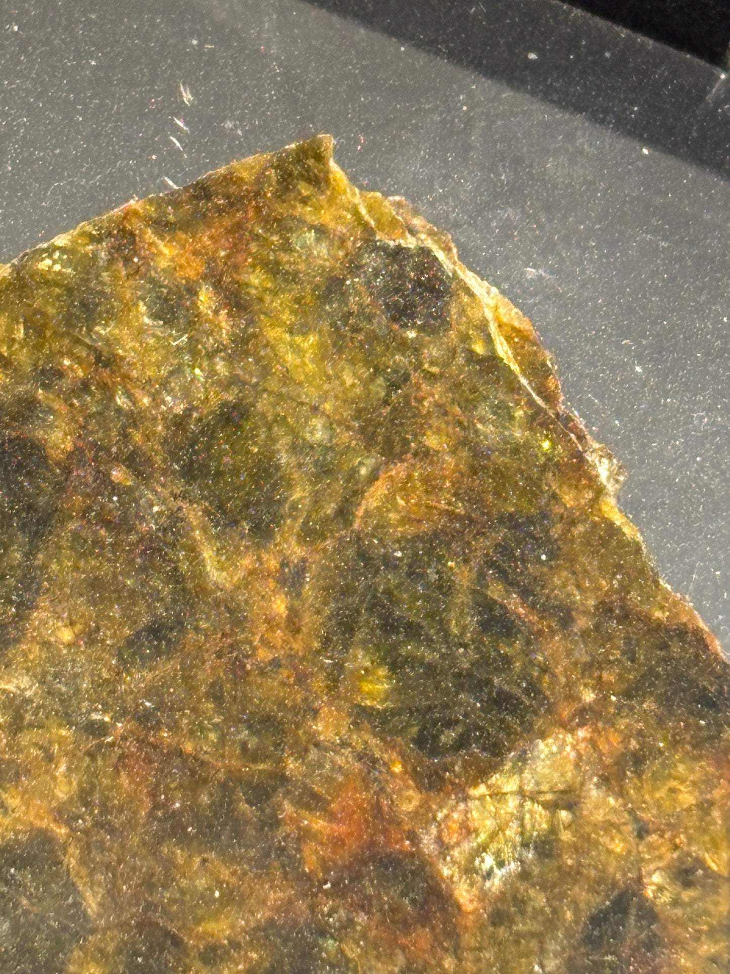 NWA 7831 Diogenite Meteorite Specimen Official HED Achondrite Northwest Africa Meteorite