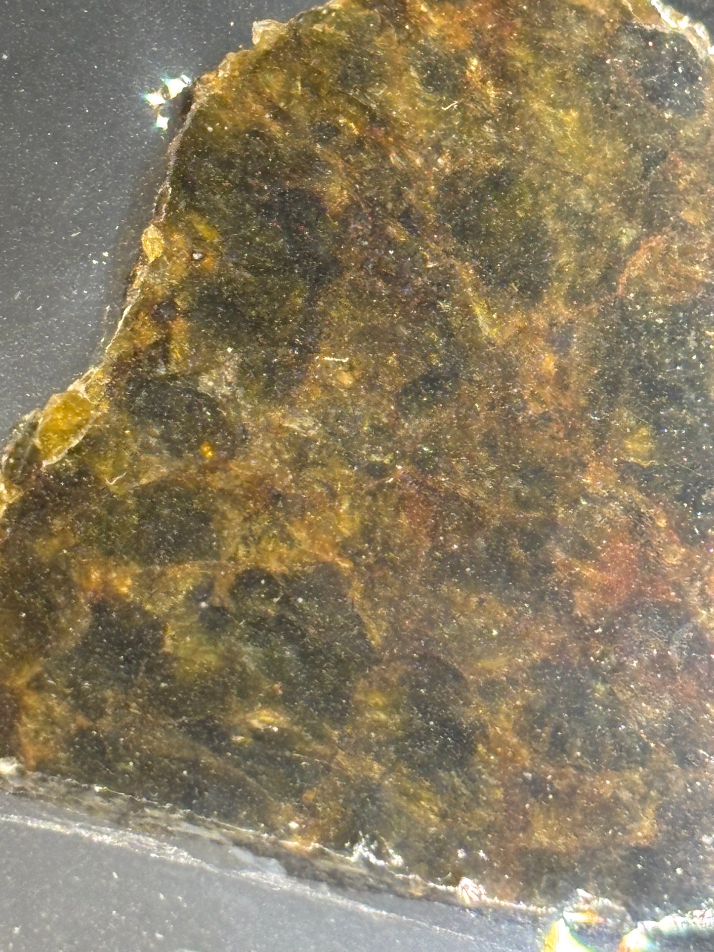 NWA 7831 Diogenite Meteorite Specimen Official HED Achondrite Northwest Africa Meteorite