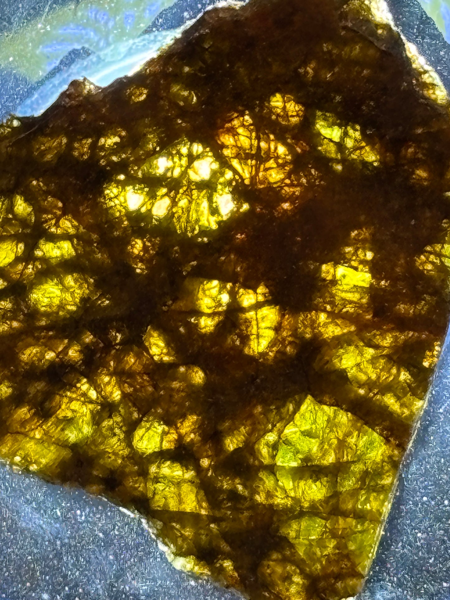 NWA 7831 Diogenite Meteorite Specimen Official HED Achondrite Northwest Africa Meteorite