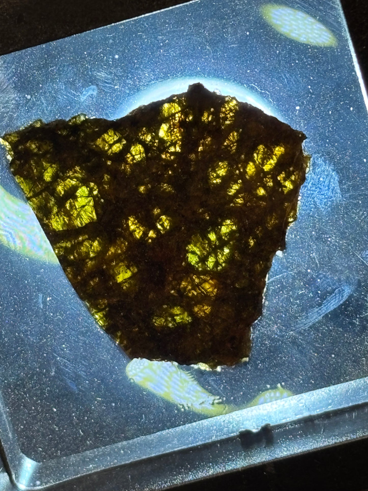 NWA 7831 Diogenite Meteorite Specimen Official HED Achondrite Northwest Africa Meteorite