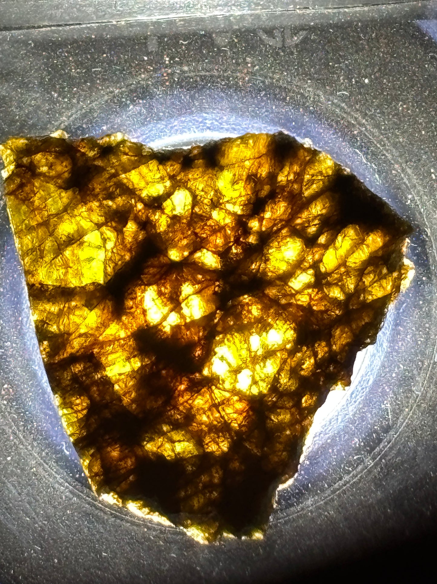 NWA 7831 Diogenite Meteorite Specimen Official HED Achondrite Northwest Africa Meteorite