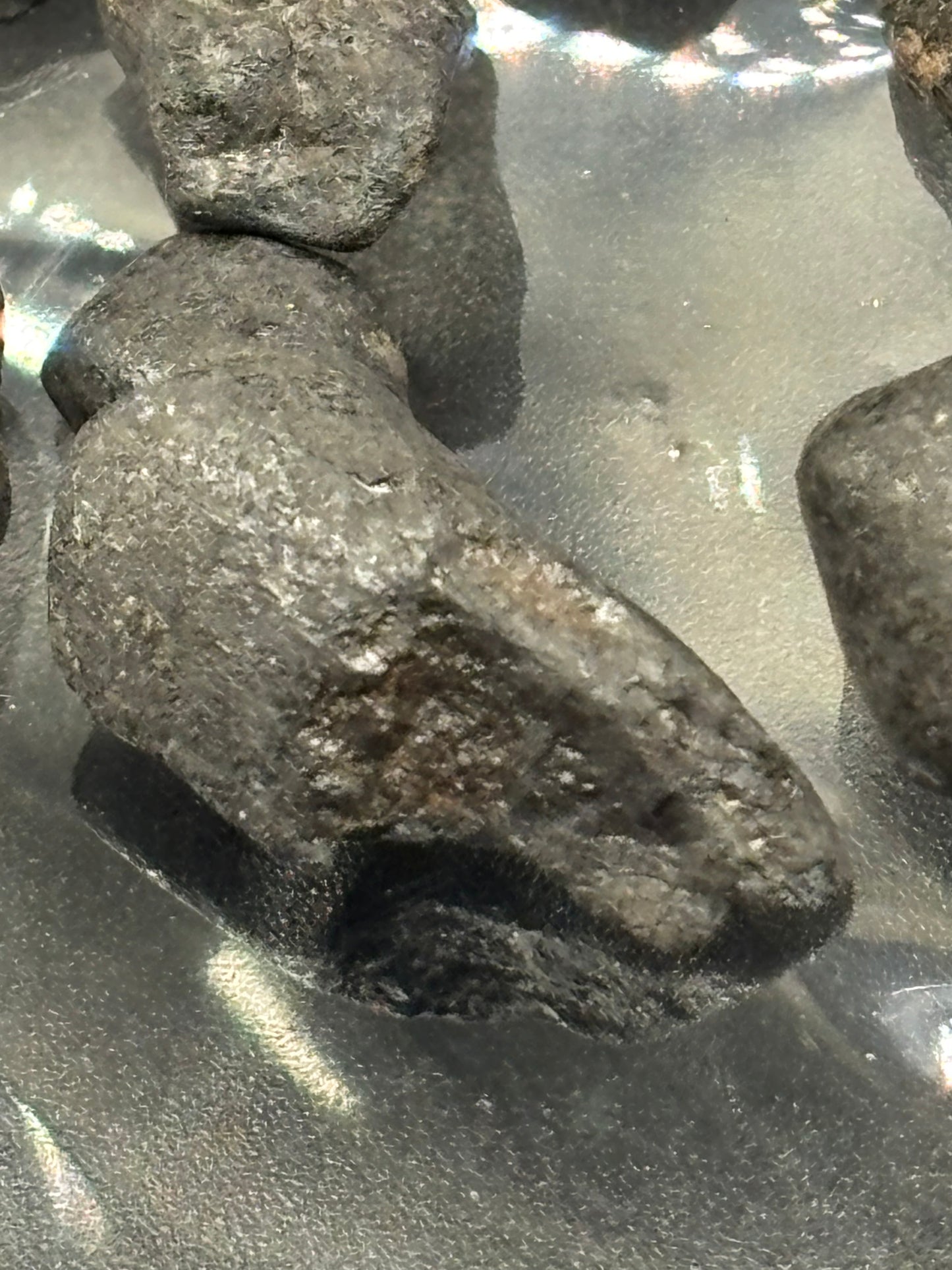 Chelyabinsk Meteorite Specimens "Baby Chelys" Lot - Historic 2013 Observed Fall Official LL5 Russia Meteorite