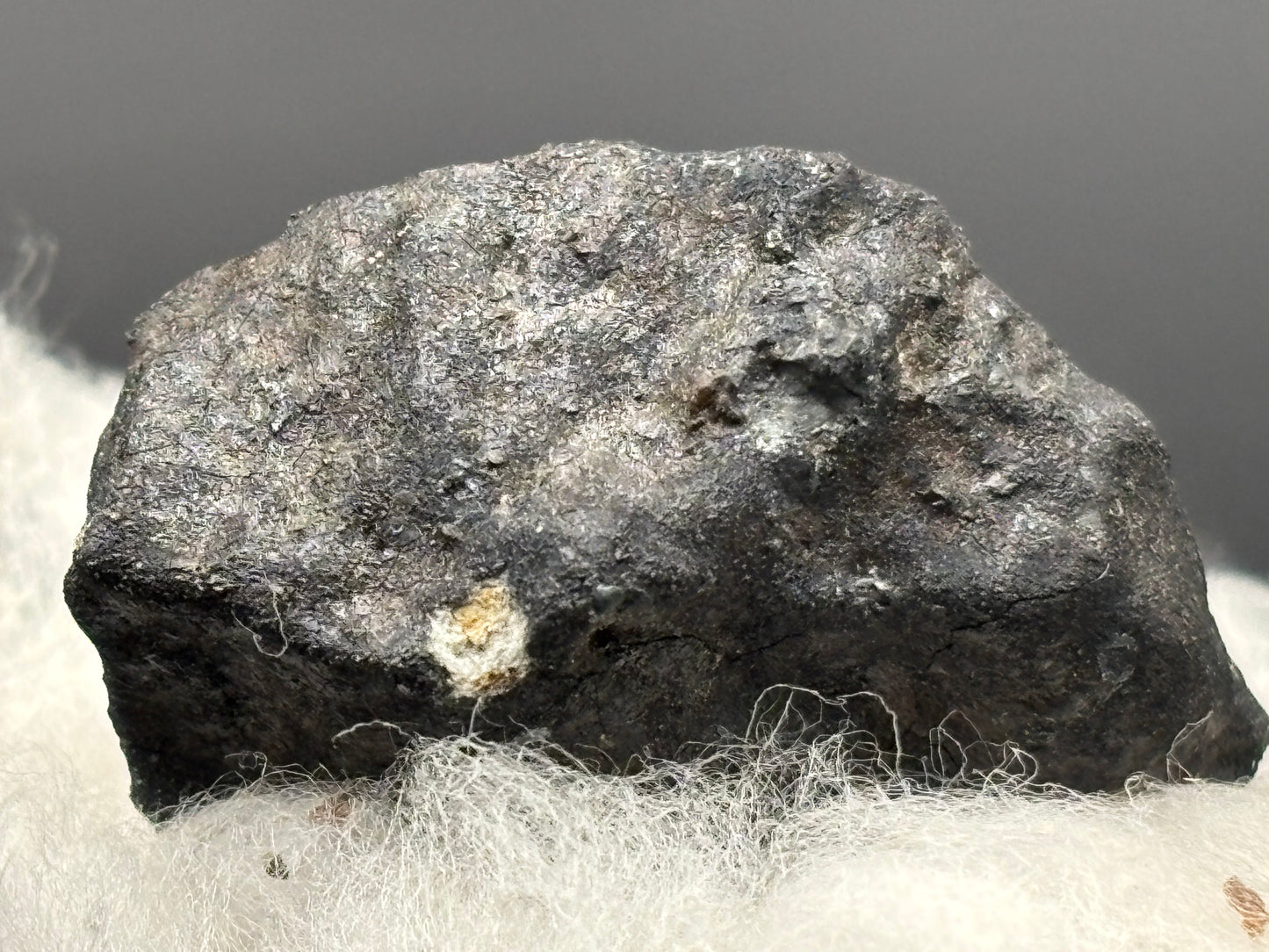 Ash Creek Meteorite Specimen Historic 2009 Observed Fall Official L6 Texas Meteorite