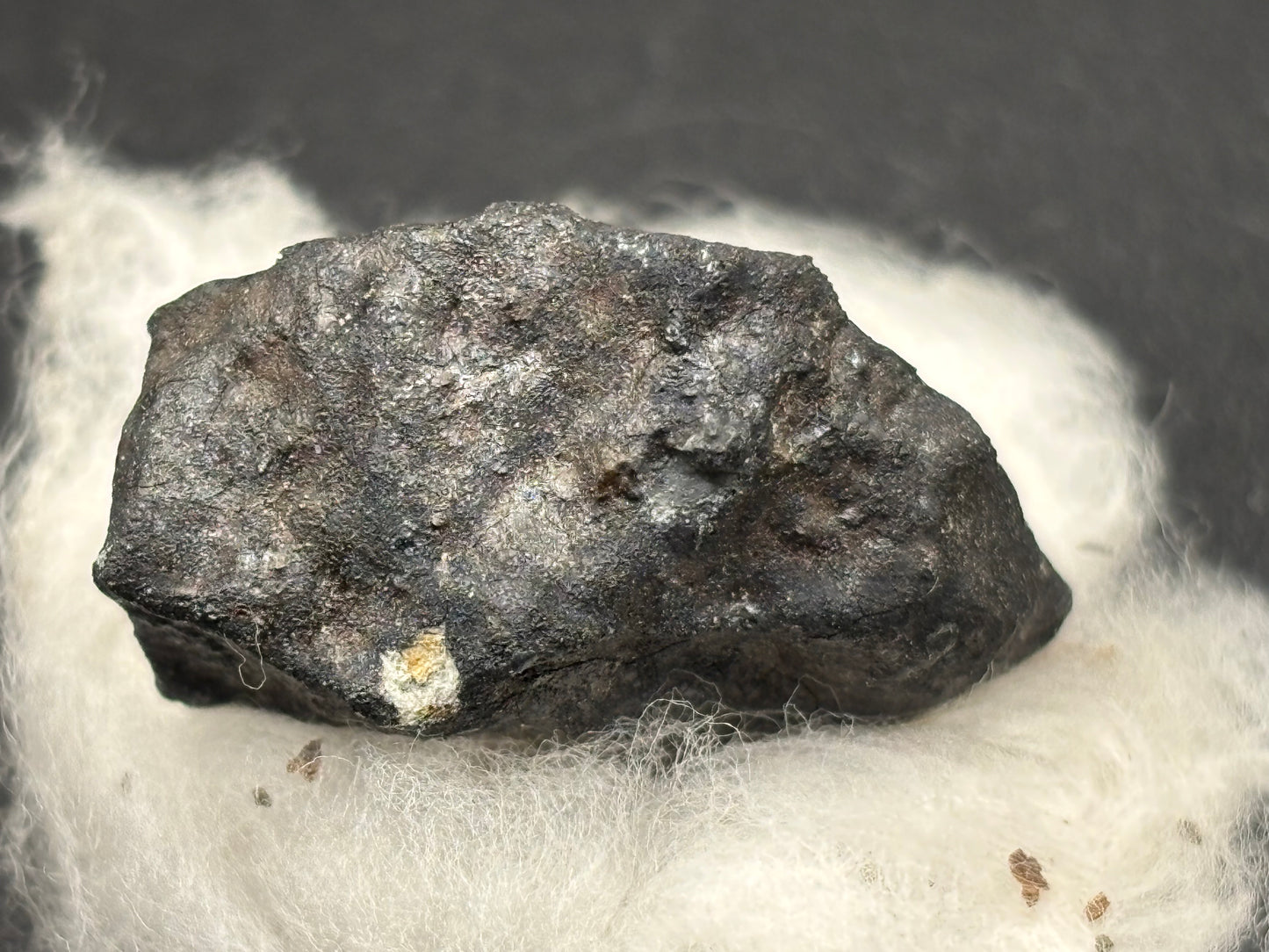 Ash Creek Meteorite Specimen Historic 2009 Observed Fall Official L6 Texas Meteorite