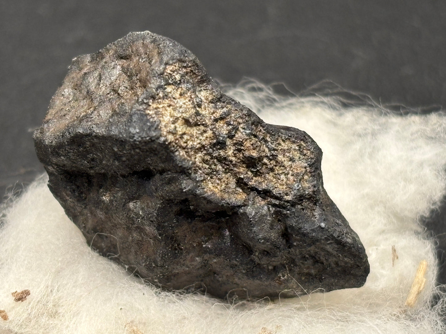 Ash Creek Meteorite Specimen Historic 2009 Observed Fall Official L6 Texas Meteorite