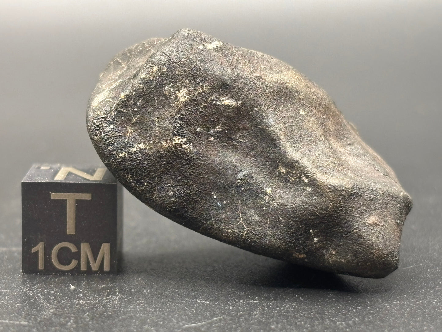 Bensour Meteorite Specimen Historic 2002 Observed Fall Official LL6 Morocco Meteorite