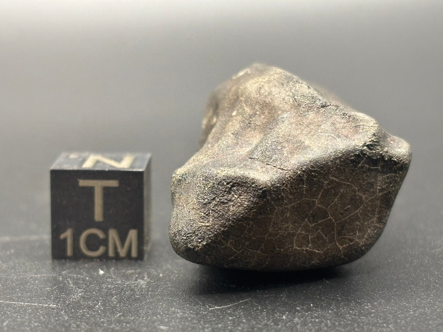 Bensour Meteorite Specimen Historic 2002 Observed Fall Official LL6 Morocco Meteorite