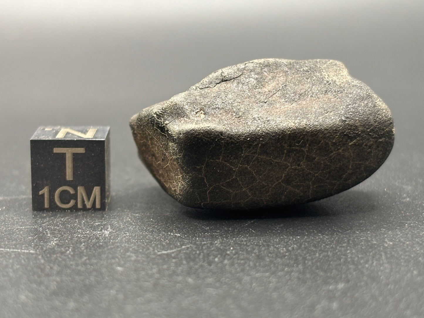 Bensour Meteorite Specimen Historic 2002 Observed Fall Official LL6 Morocco Meteorite