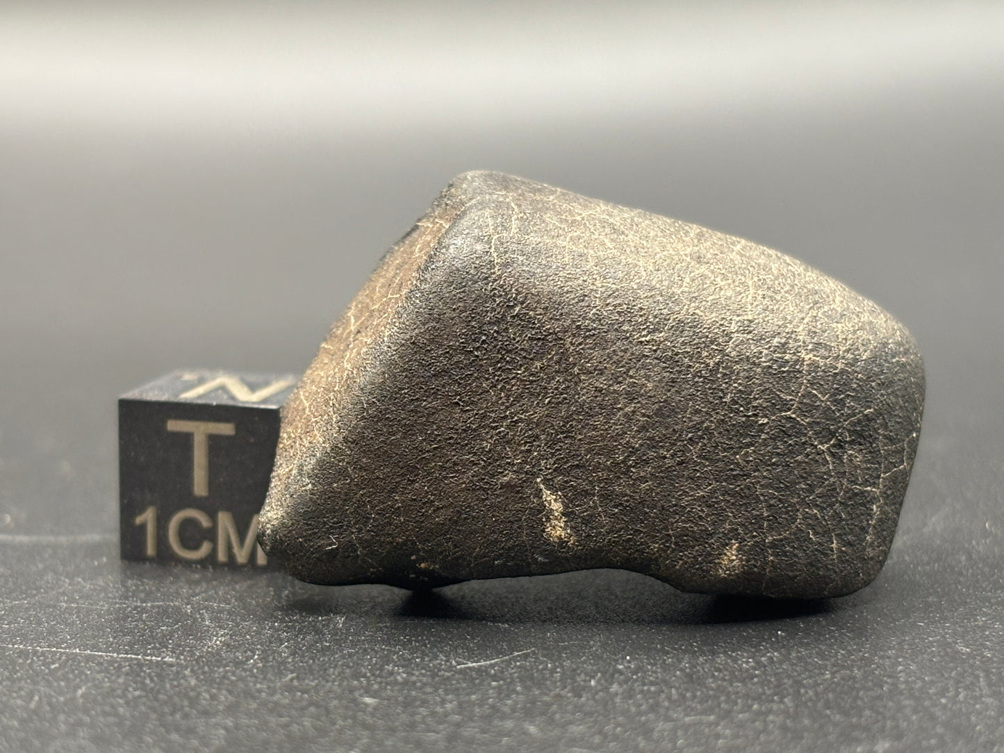 Bensour Meteorite Specimen Historic 2002 Observed Fall Official LL6 Morocco Meteorite