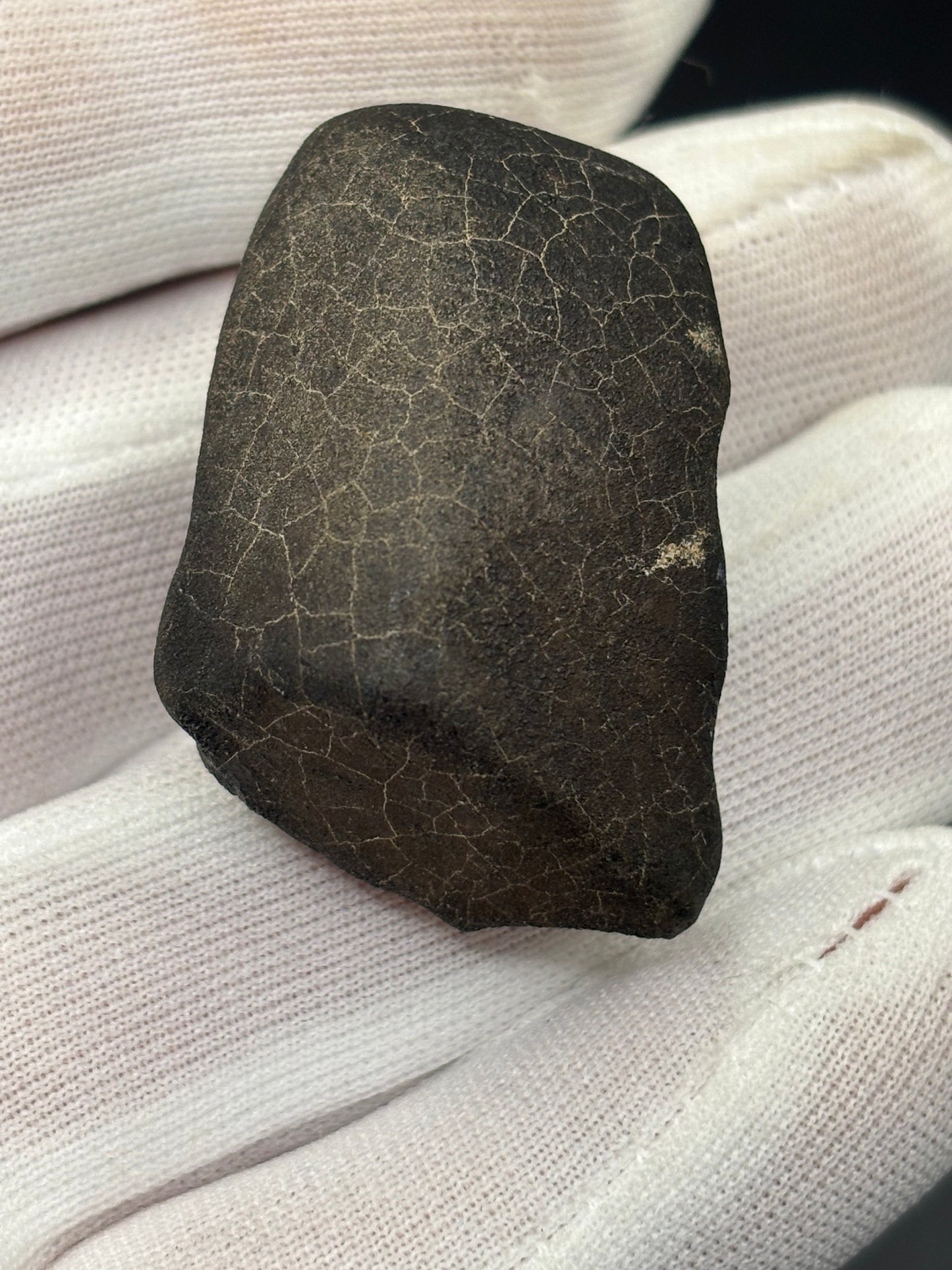 Bensour Meteorite Specimen Historic 2002 Observed Fall Official LL6 Morocco Meteorite