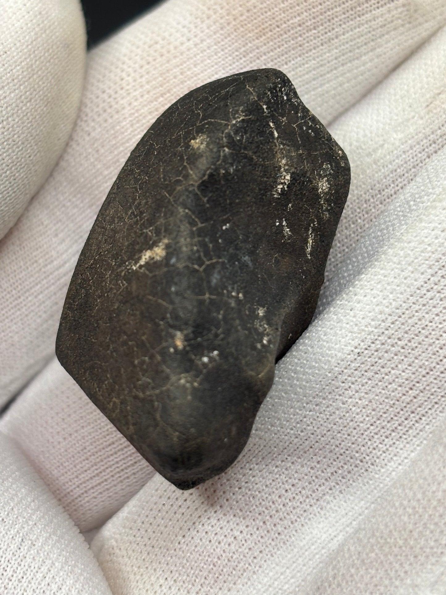Bensour Meteorite Specimen Historic 2002 Observed Fall Official LL6 Morocco Meteorite