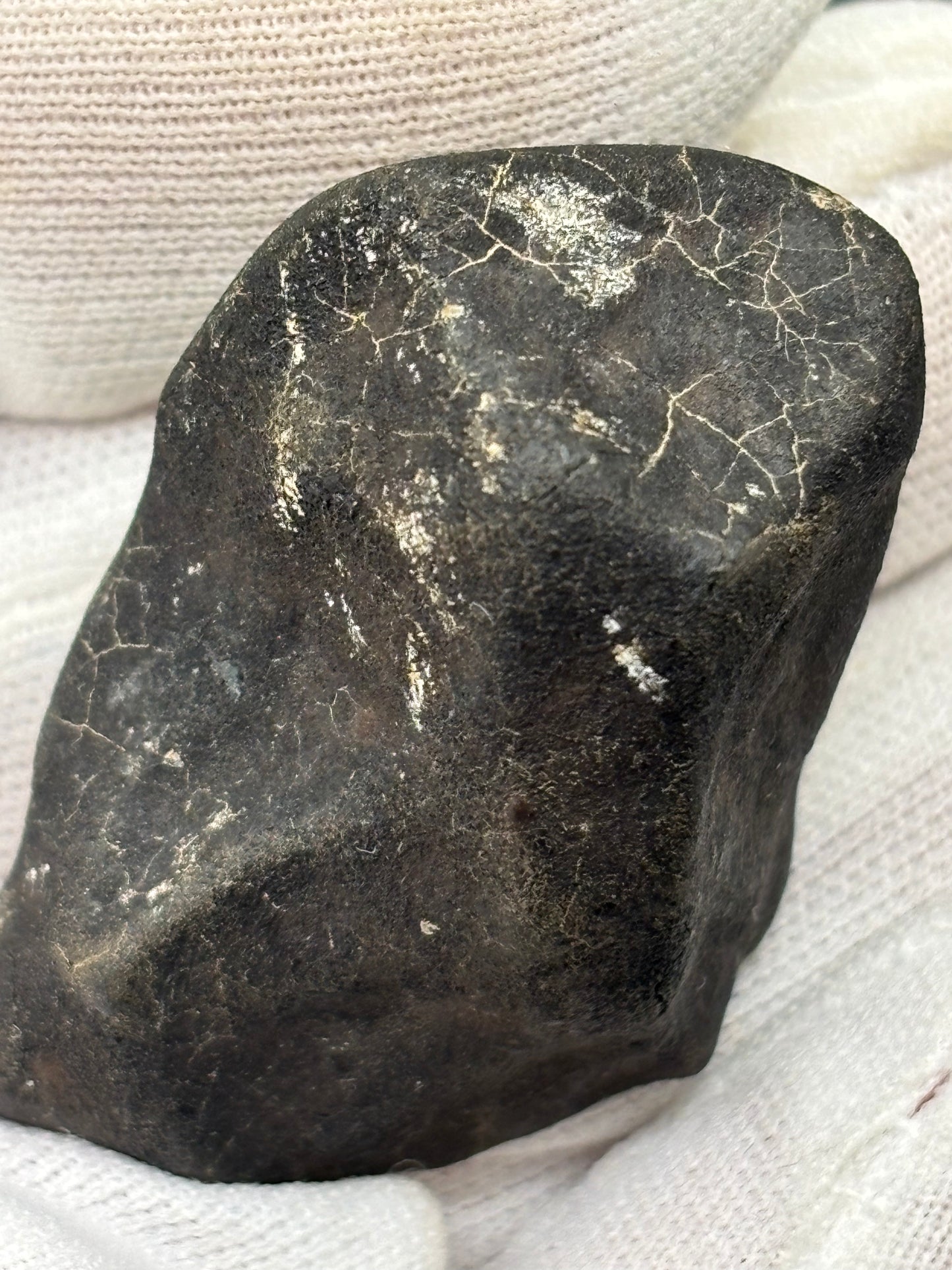 Bensour Meteorite Specimen Historic 2002 Observed Fall Official LL6 Morocco Meteorite