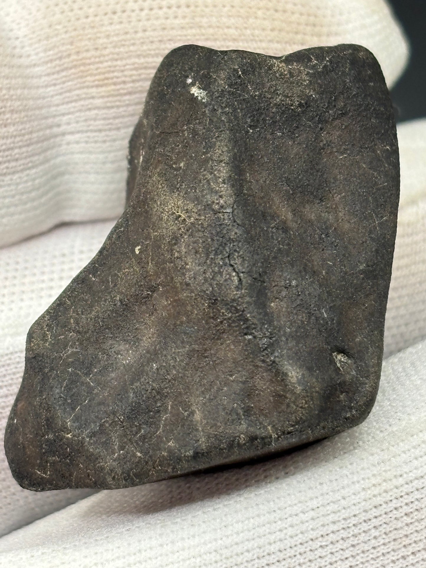 Bensour Meteorite Specimen Historic 2002 Observed Fall Official LL6 Morocco Meteorite