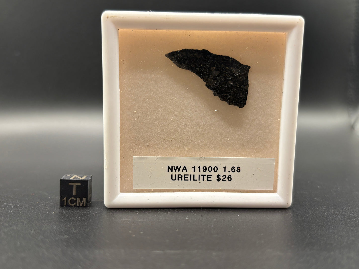 NWA 11900 Ureilite Meteorite Specimen Official Augite-Bearing Ureilite Northwest Africa