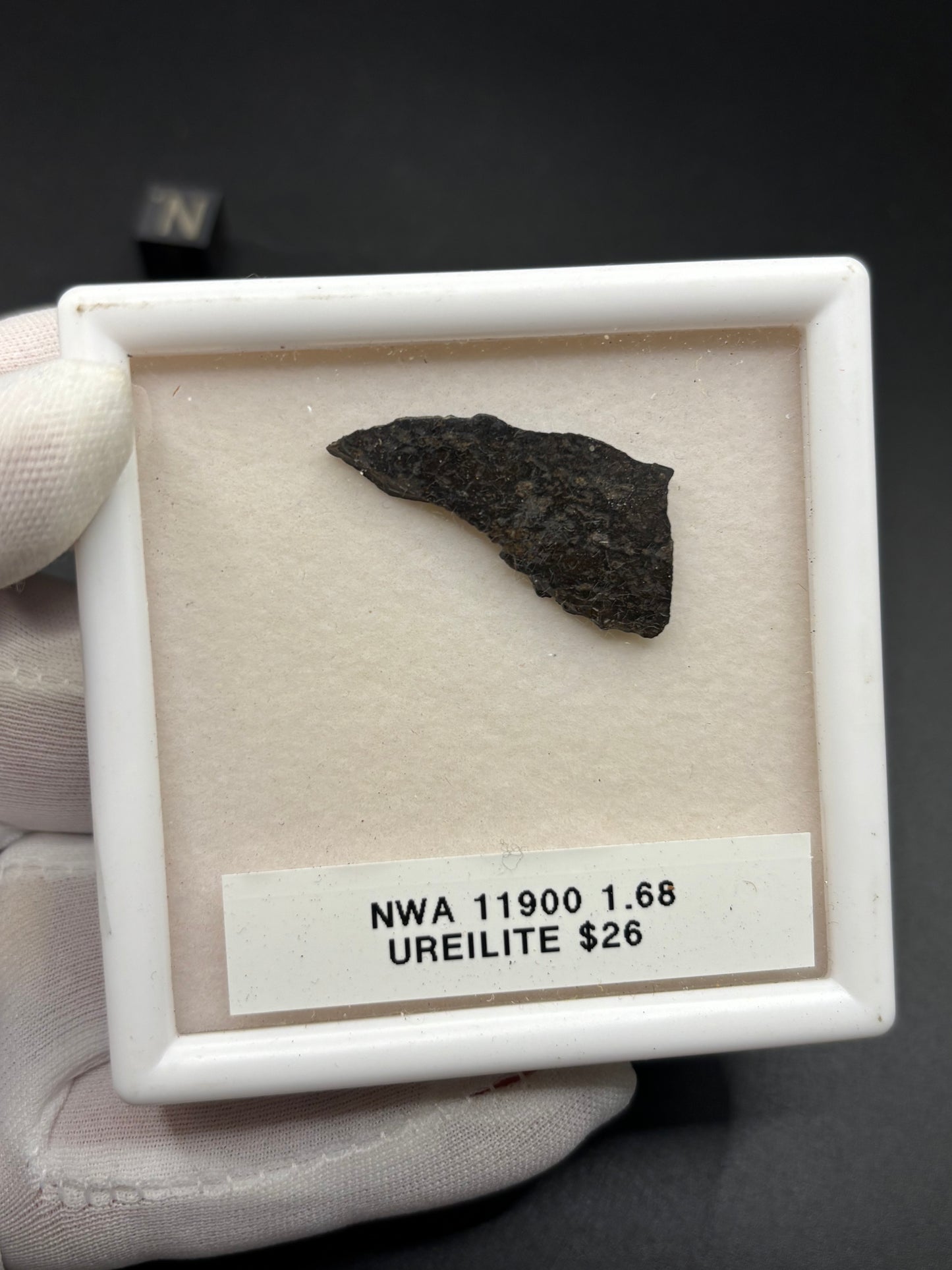 NWA 11900 Ureilite Meteorite Specimen Official Augite-Bearing Ureilite Northwest Africa