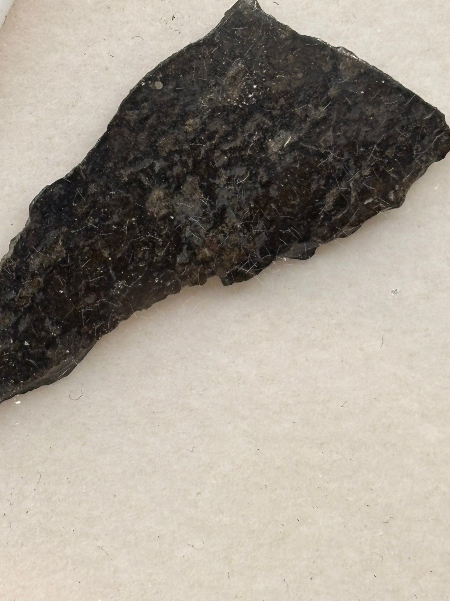 NWA 11900 Ureilite Meteorite Specimen Official Augite-Bearing Ureilite Northwest Africa