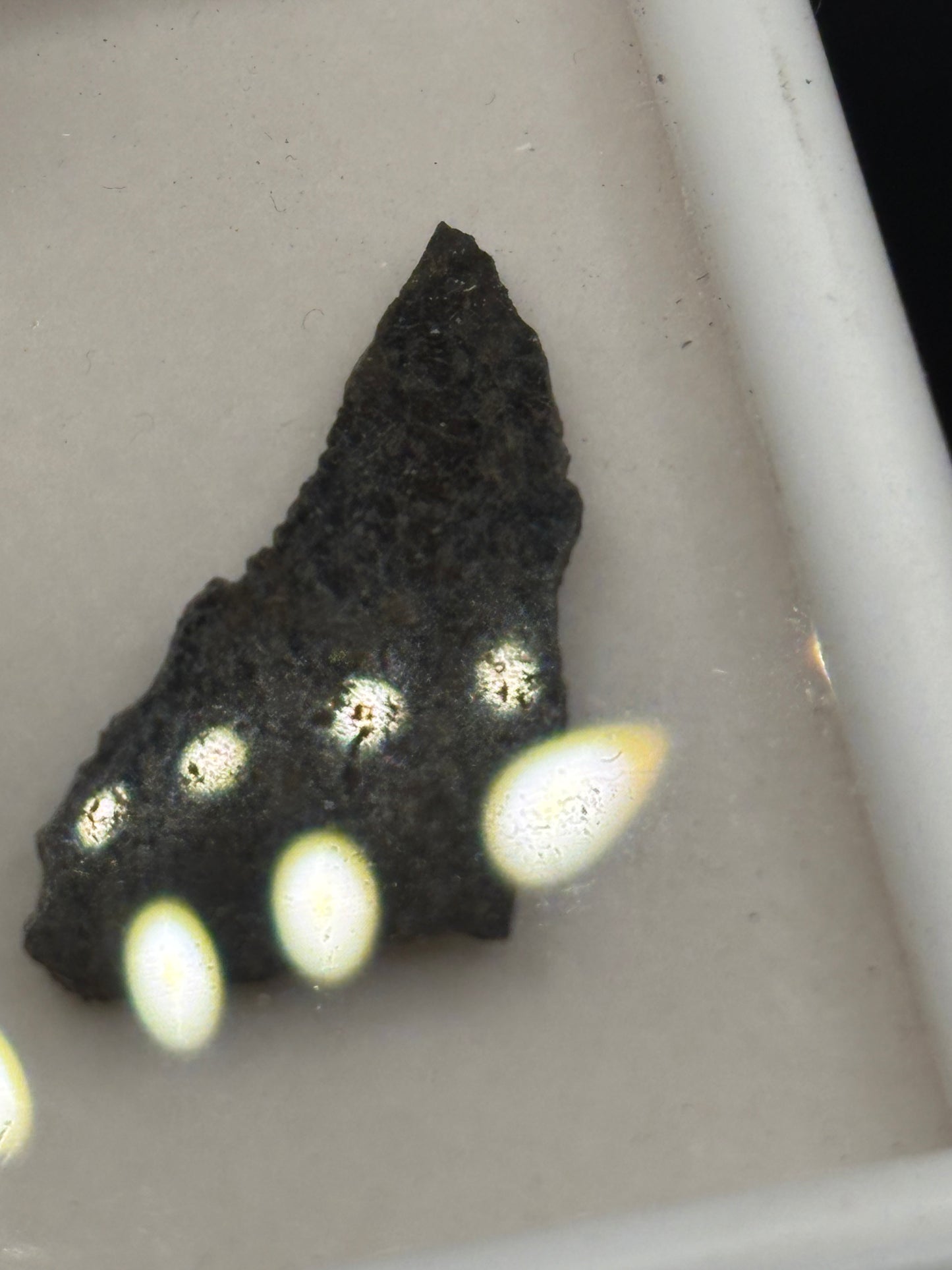NWA 11900 Ureilite Meteorite Specimen Official Augite-Bearing Ureilite Northwest Africa