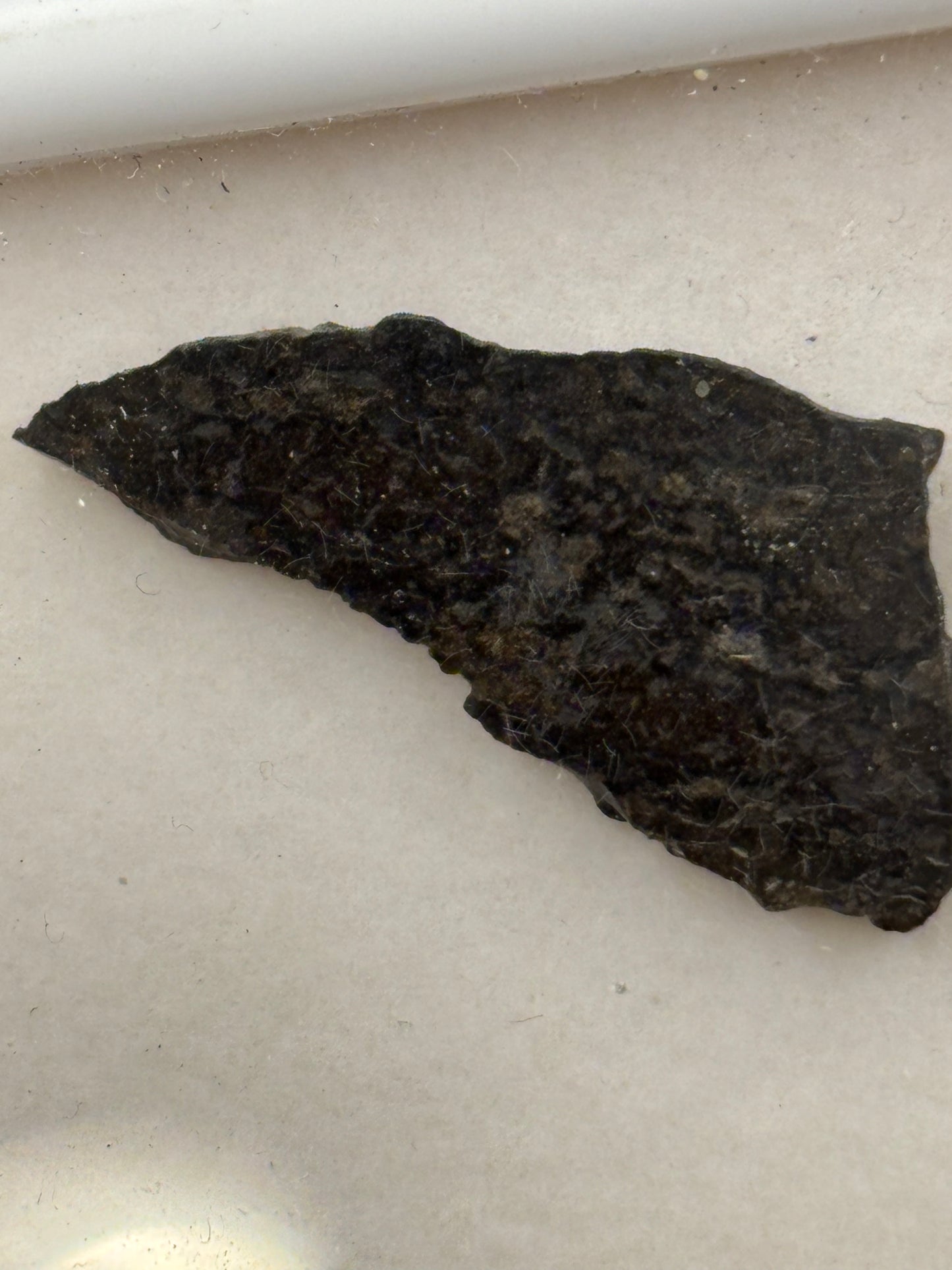 NWA 11900 Ureilite Meteorite Specimen Official Augite-Bearing Ureilite Northwest Africa