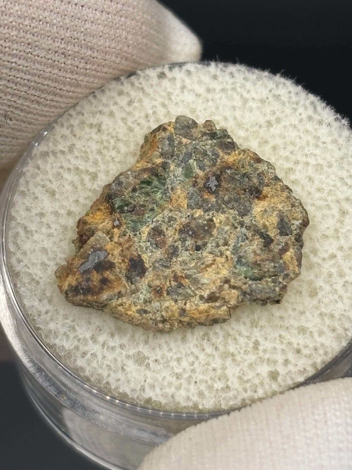NWA 10265 Lodranite Meteorite Specimen Official Primitive Achondrite Northwest Africa