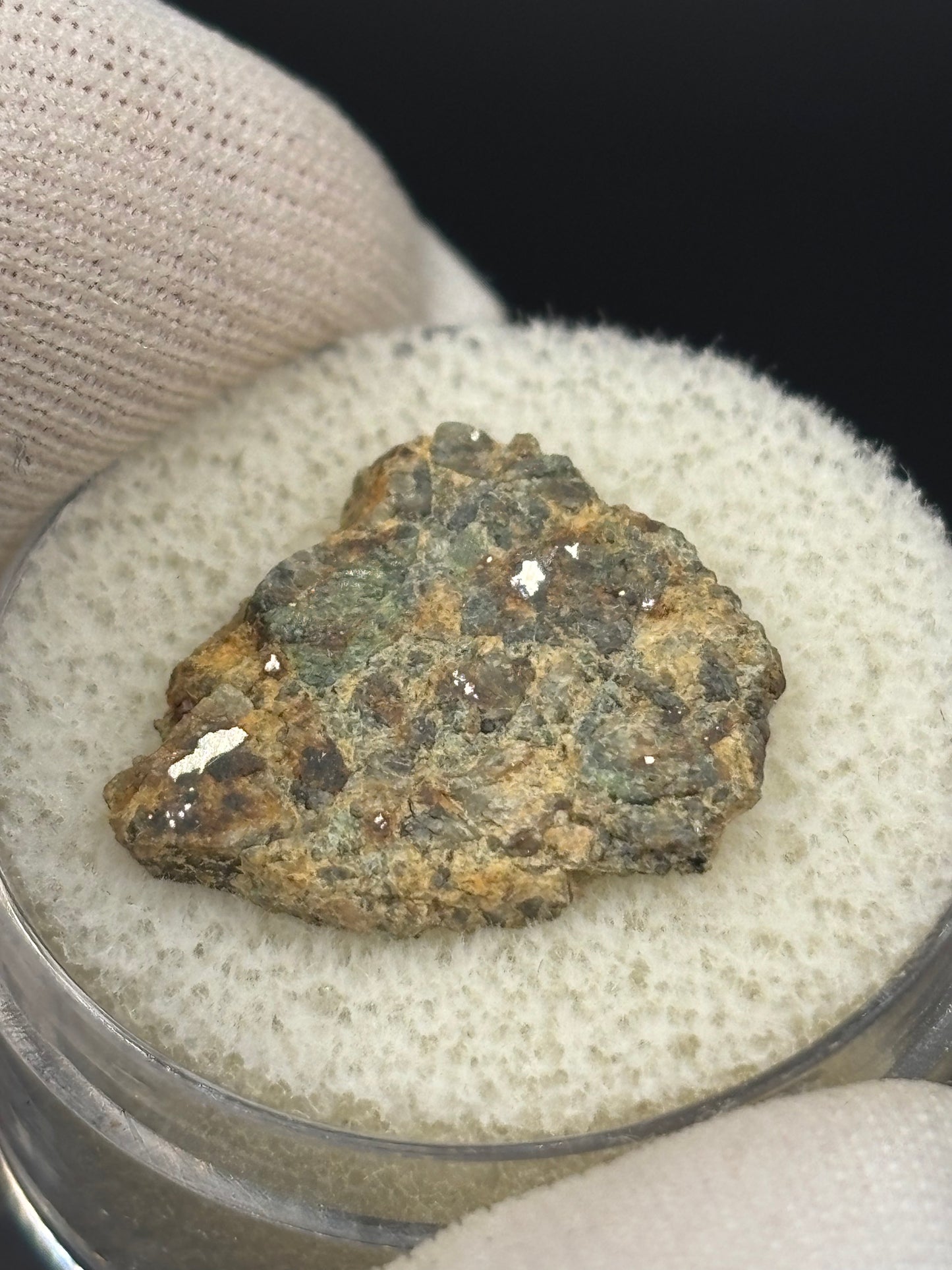 NWA 10265 Lodranite Meteorite Specimen Official Primitive Achondrite Northwest Africa