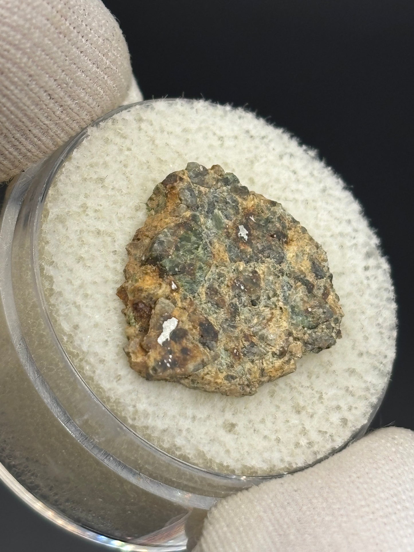 NWA 10265 Lodranite Meteorite Specimen Official Primitive Achondrite Northwest Africa