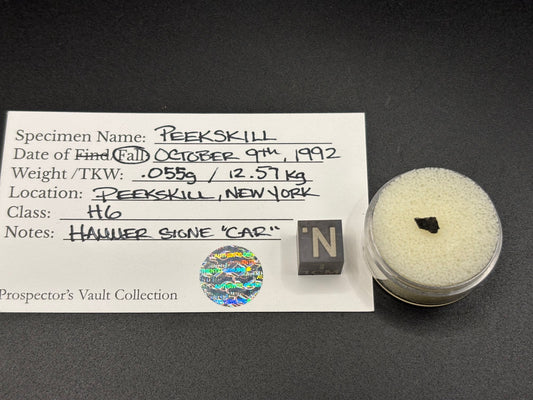 Peekskill Meteorite Specimen Historic 1992 Observed Fall Famous Car Strike H6 Meteorite