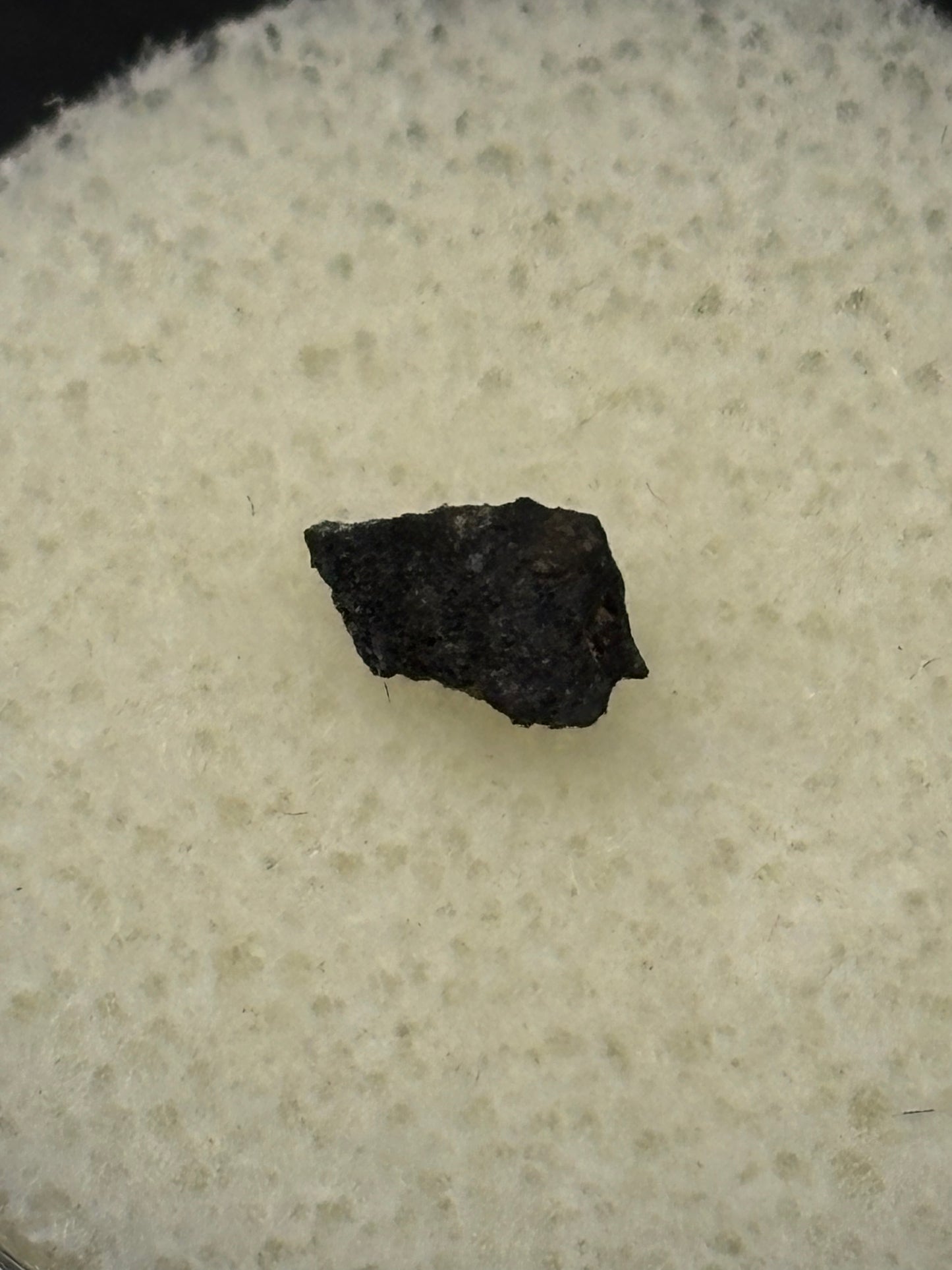 Peekskill Meteorite Specimen Historic 1992 Observed Fall Famous Car Strike H6 Meteorite