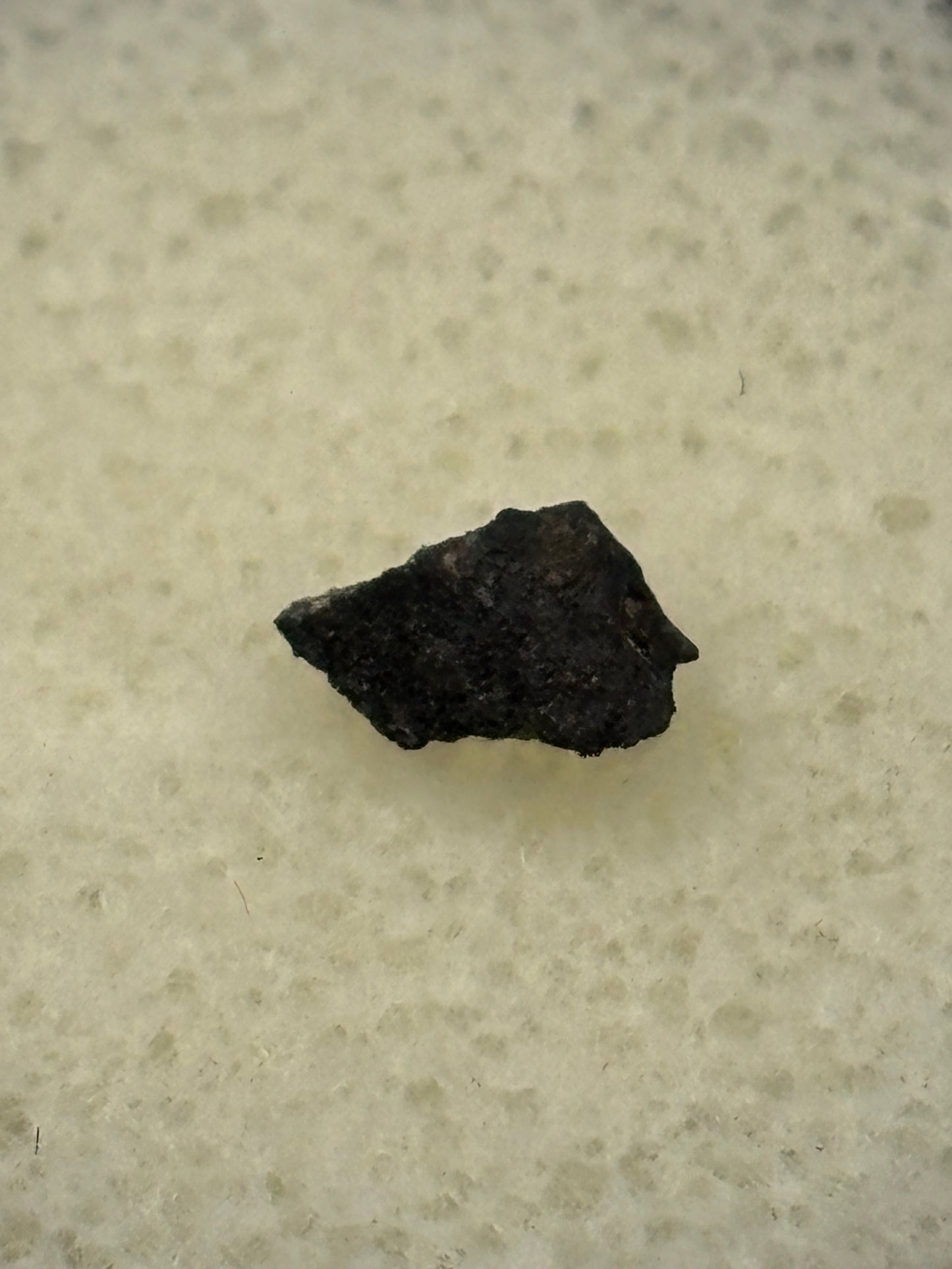Peekskill Meteorite Specimen Historic 1992 Observed Fall Famous Car Strike H6 Meteorite