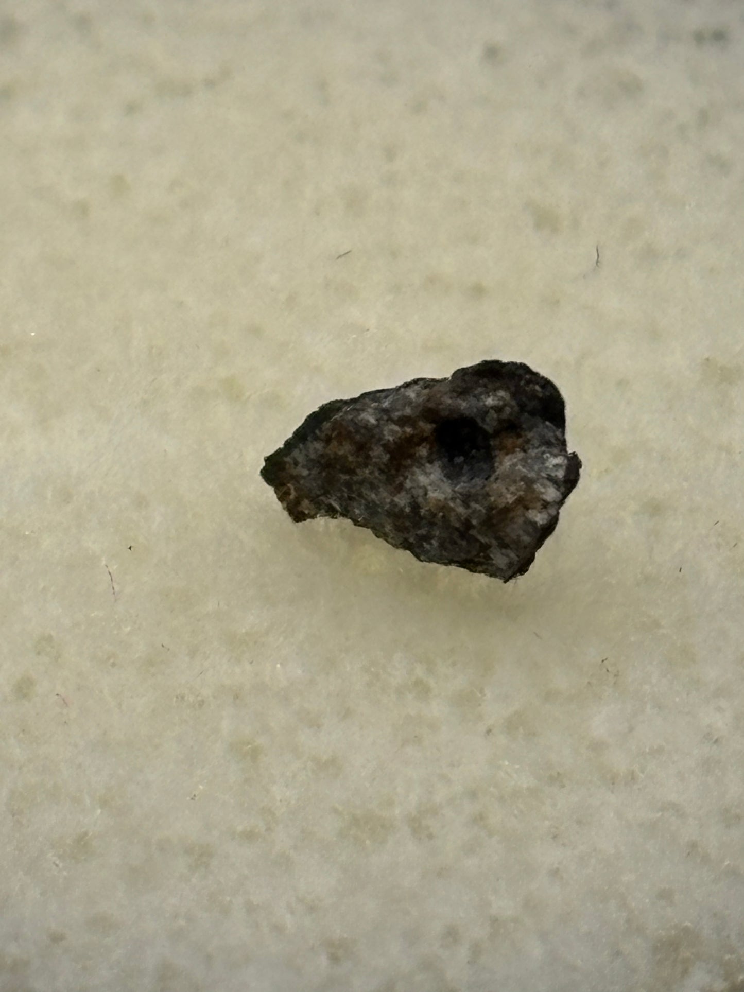 Peekskill Meteorite Specimen Historic 1992 Observed Fall Famous Car Strike H6 Meteorite