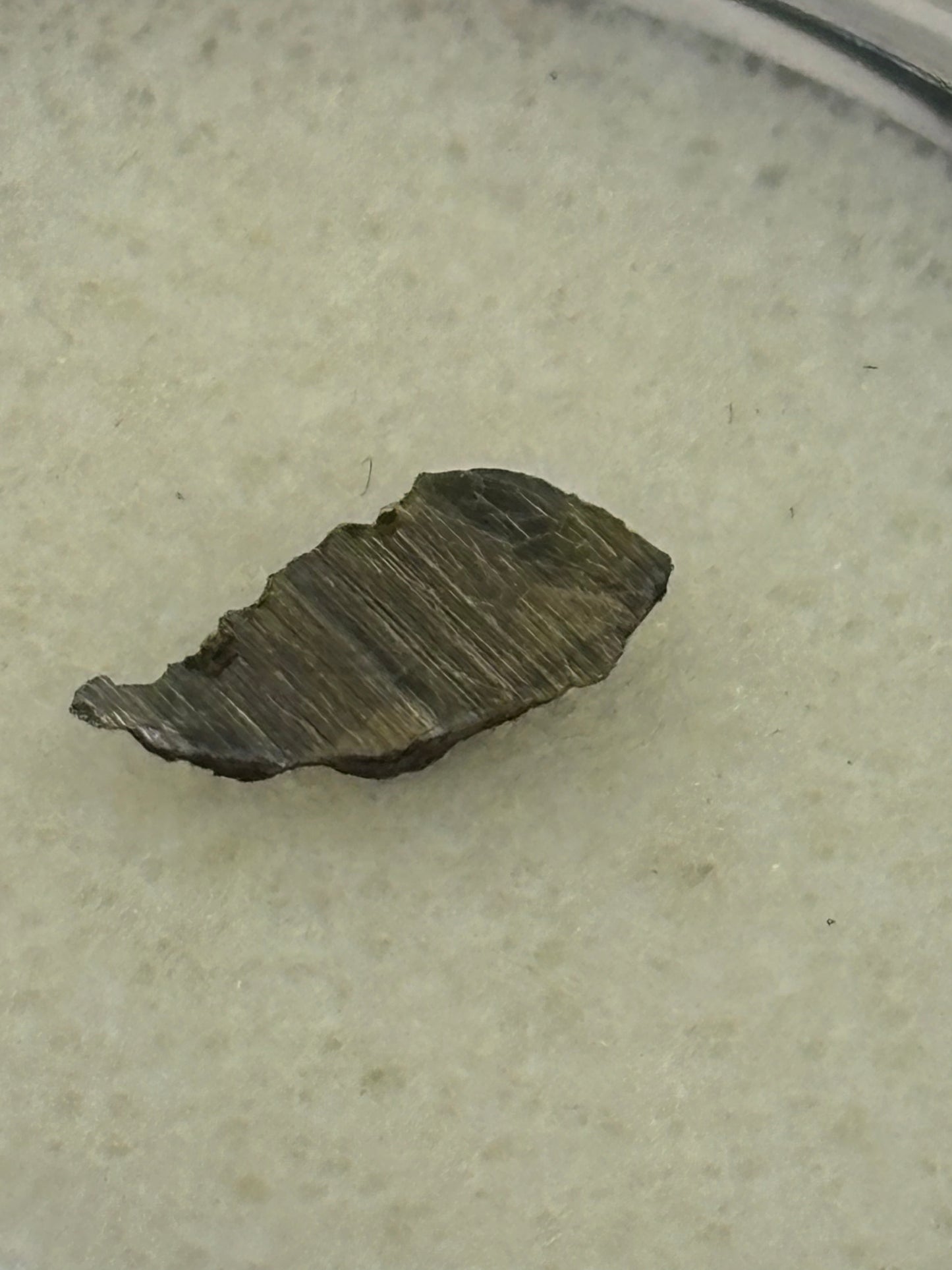 Navajo Iron Meteorite Specimen Historic IIAB Iron Meteorite Arizona Meteorite