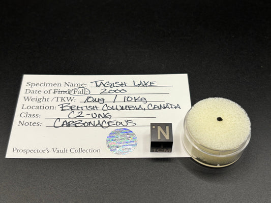Tagish Lake Meteorite Specimen Historic 2000 Observed Fall Rare Carbonaceous Chondrite Canada
