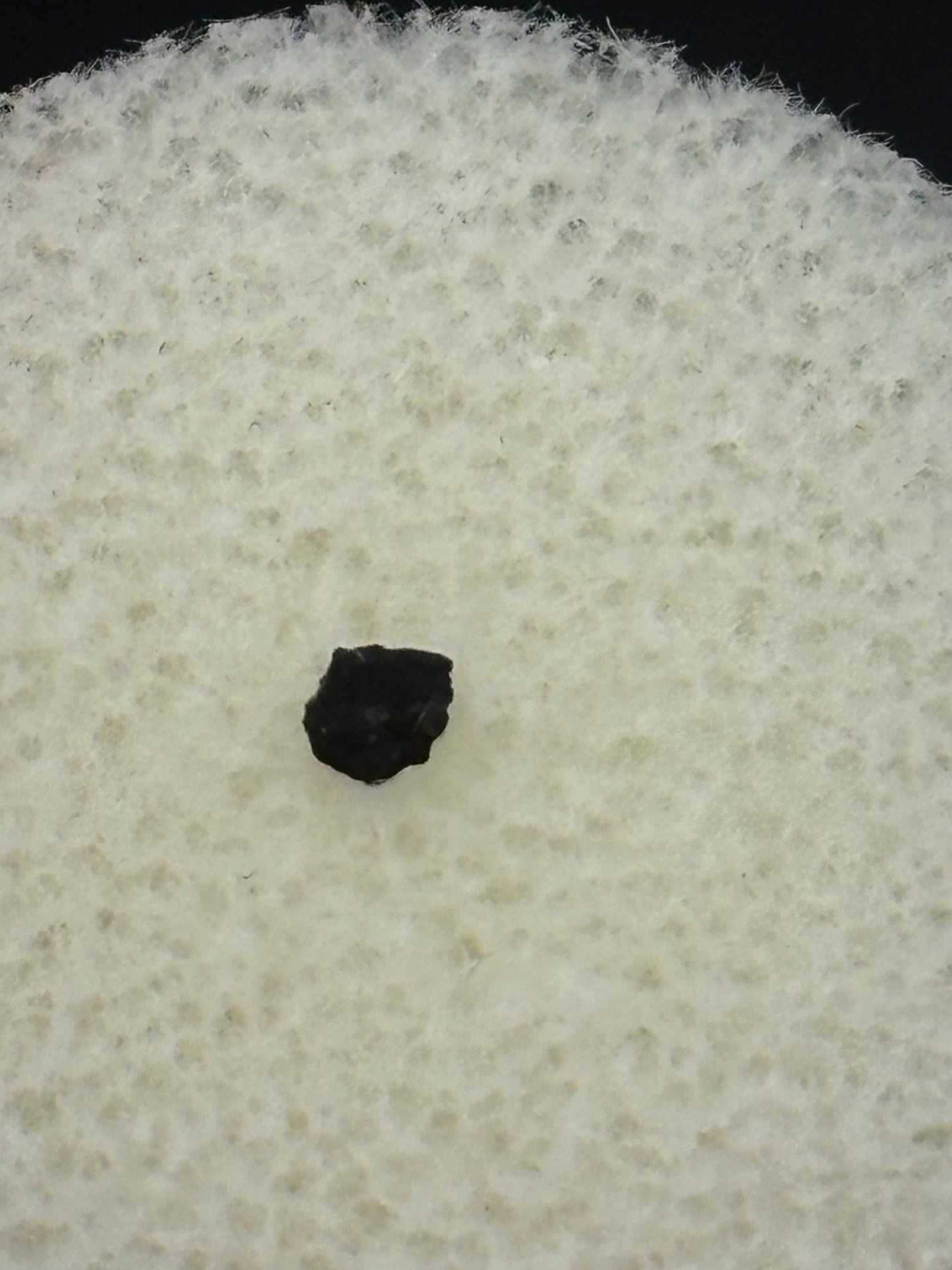 Tagish Lake Meteorite Specimen Historic 2000 Observed Fall Rare Carbonaceous Chondrite Canada
