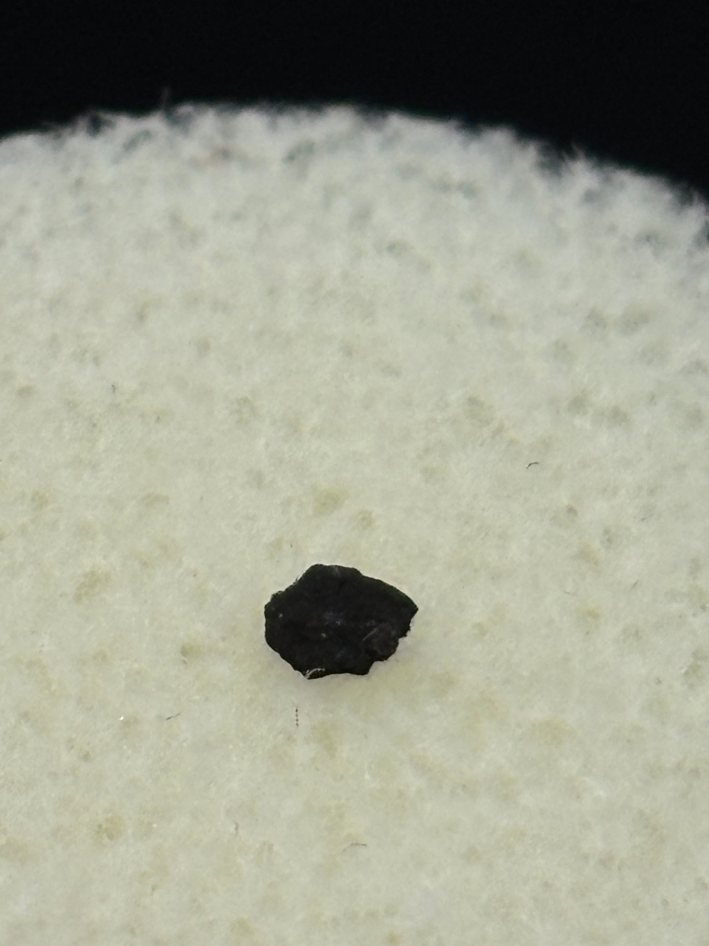 Tagish Lake Meteorite Specimen Historic 2000 Observed Fall Rare Carbonaceous Chondrite Canada