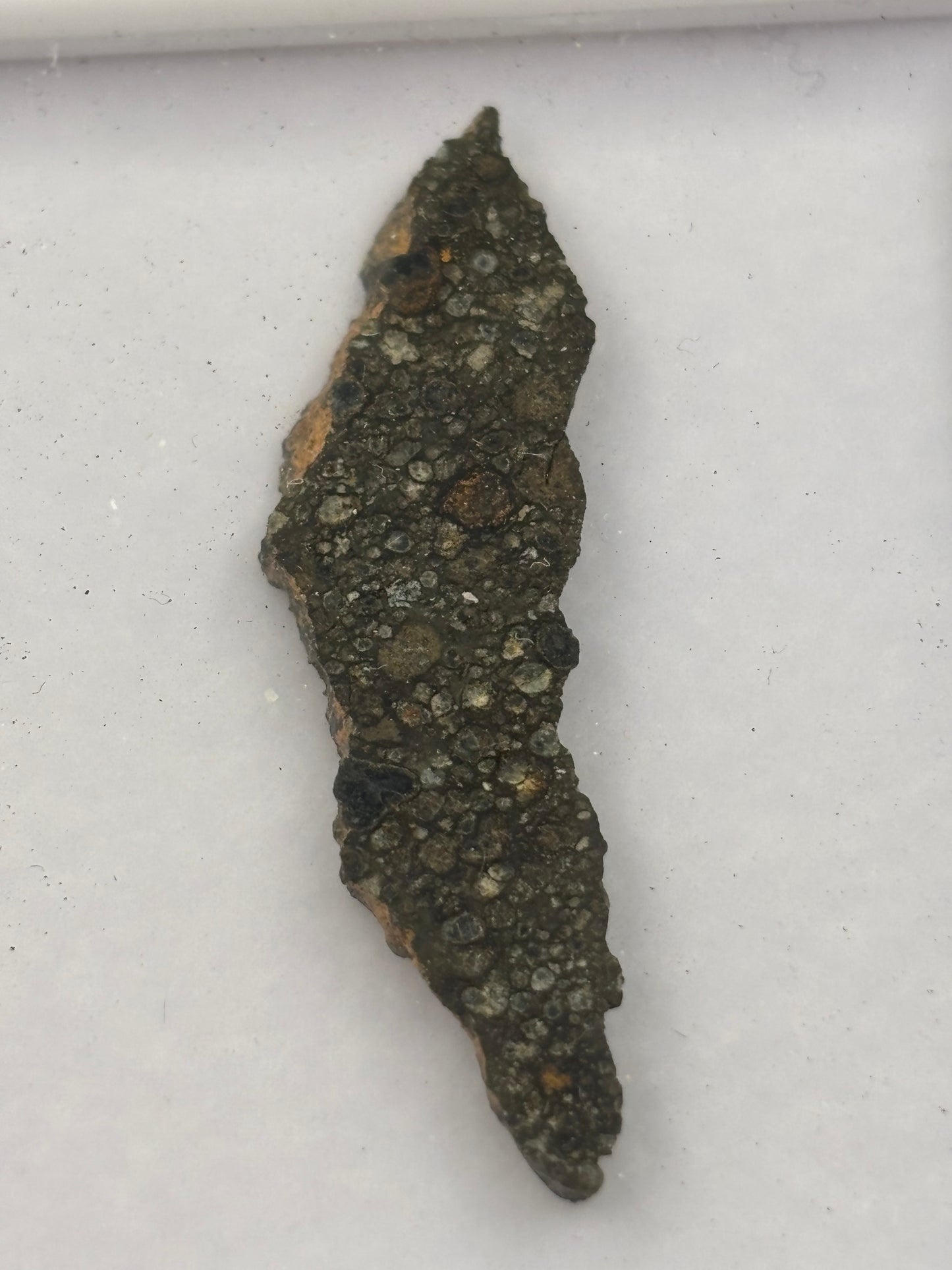 NWA 15057 Carbonaceous Chondrite Meteorite Official CVox3 Northwest Africa Meteorite