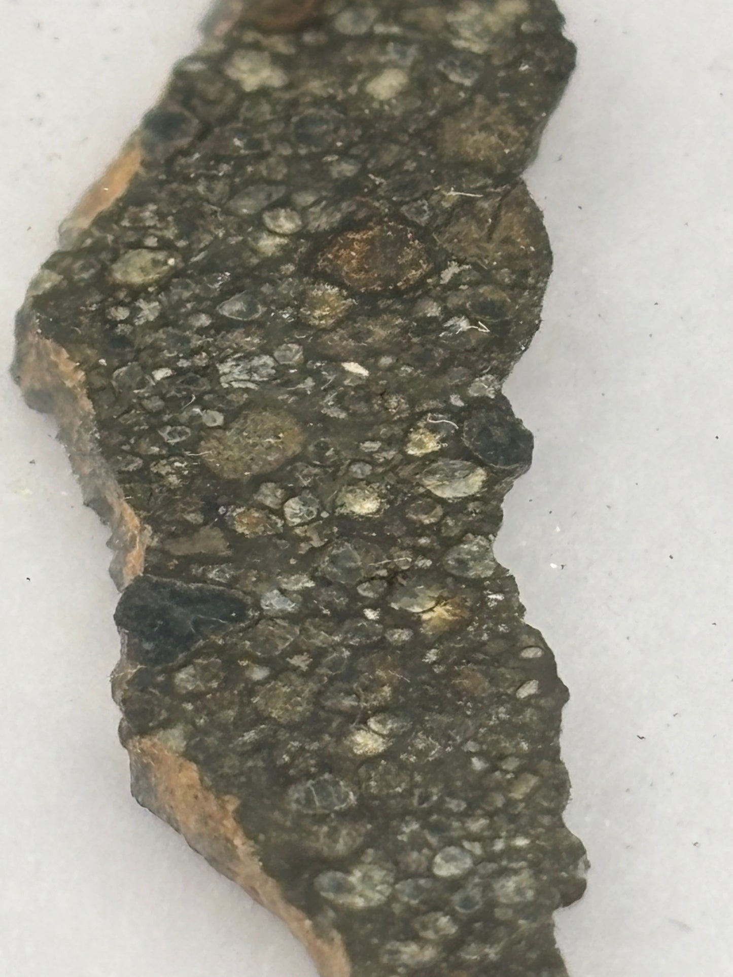 NWA 15057 Carbonaceous Chondrite Meteorite Official CVox3 Northwest Africa Meteorite