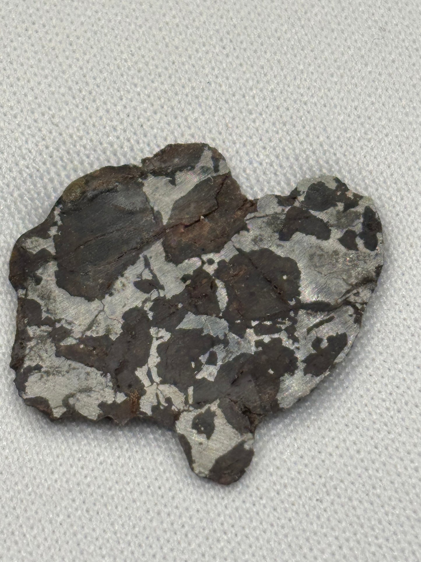 NWA 16734 Ungrouped Pallasite Meteorite Specimen Rare Olivine Iron Meteorite