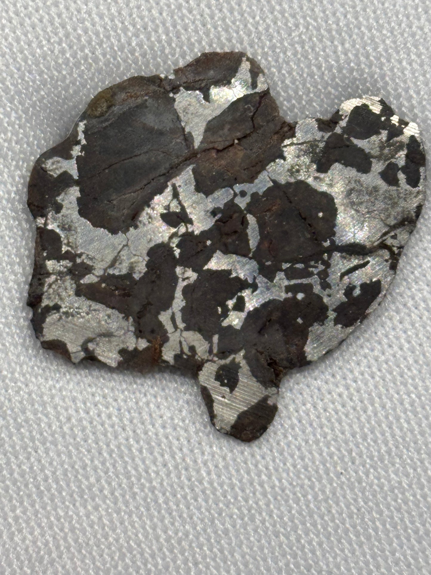 NWA 16734 Ungrouped Pallasite Meteorite Specimen Rare Olivine Iron Meteorite