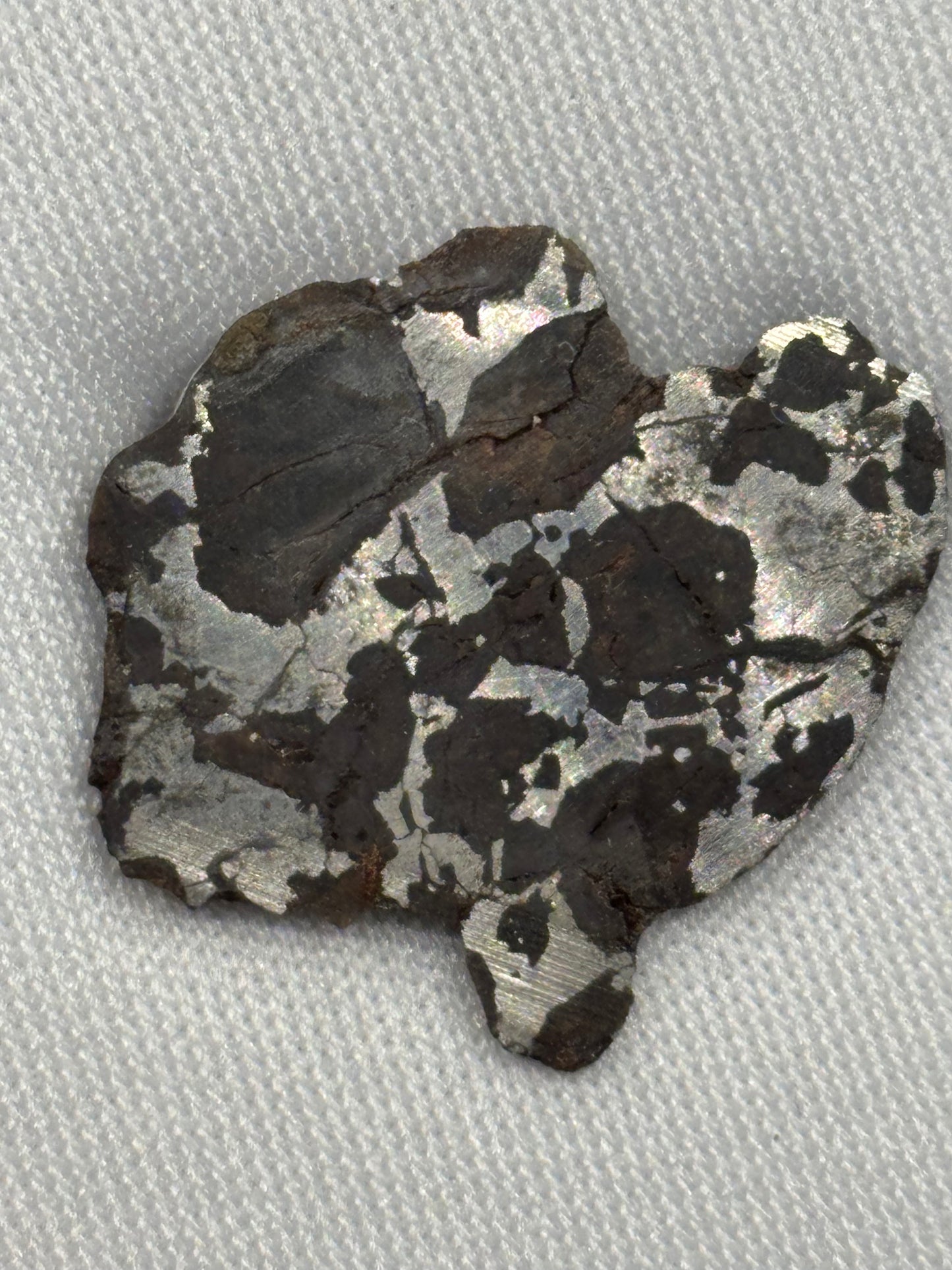 NWA 16734 Ungrouped Pallasite Meteorite Specimen Rare Olivine Iron Meteorite