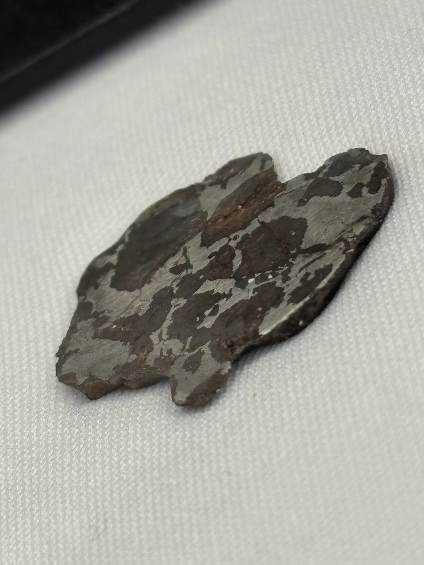NWA 16734 Ungrouped Pallasite Meteorite Specimen Rare Olivine Iron Meteorite